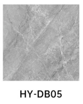 HY-DB05