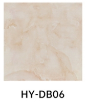 HY-DB06