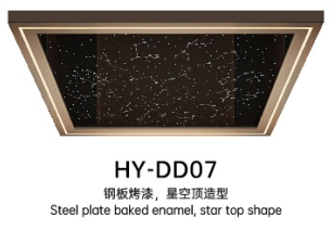 HY-DD07