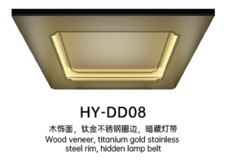 HY-DD08