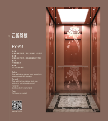 HY-V16