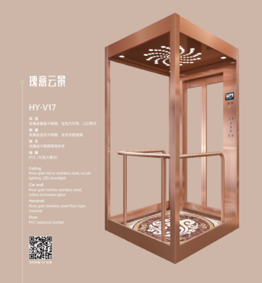 HY-V17