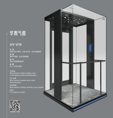 HY-V19